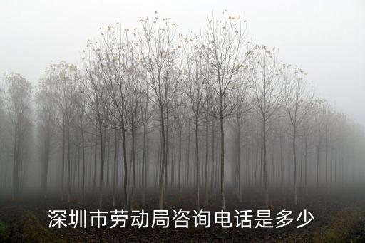 深圳勞動局電話，深圳市勞動局咨詢電話是多少