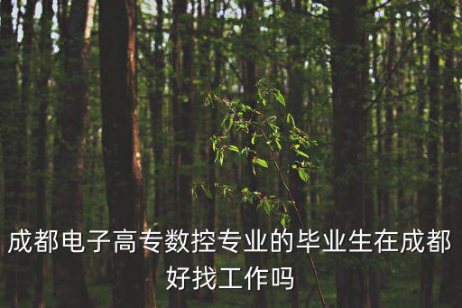 成都電子高專數控專業的畢業生在成都好找工作嗎