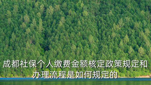 成都社保個人繳費金額核定政策規定和辦理流程是如何規定的