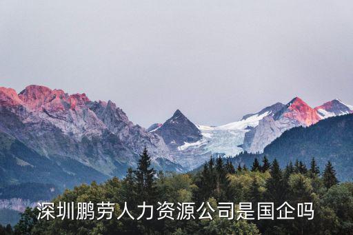 深圳市鵬勞人力資源管理有限公司，想問下深圳鵬勞人力資源公司介紹的工作好不好
