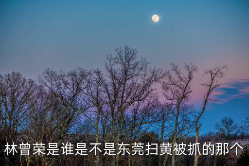 林曾榮是誰是不是東莞掃黃被抓的那個