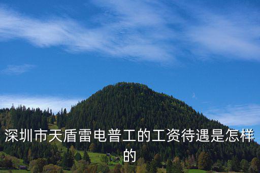 深圳市天盾雷電普工的工資待遇是怎樣的