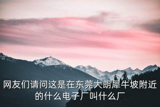 網友們請問這是在東莞大朗犀牛坡附近的什么電子廠叫什么廠