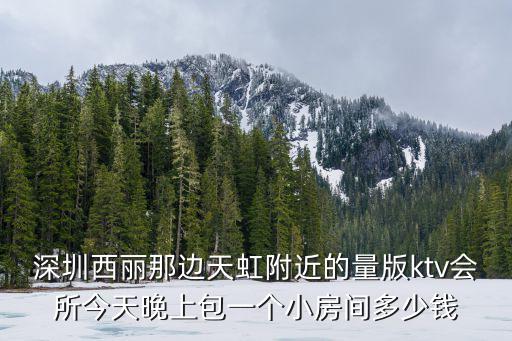 深圳西麗那邊天虹附近的量版ktv會所今天晚上包一個小房間多少錢