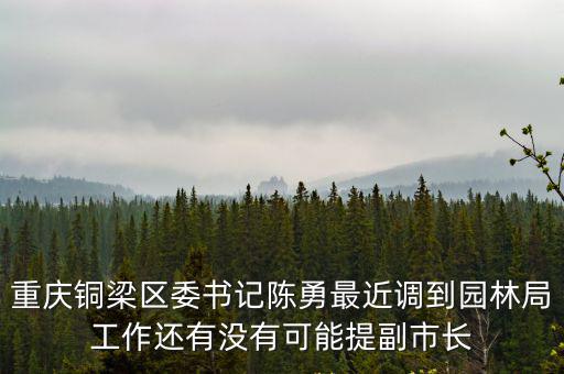 重慶銅梁區委書記陳勇最近調到園林局工作還有沒有可能提副市長