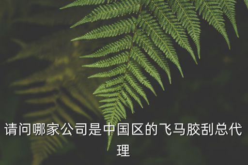 請問哪家公司是中國區的飛馬膠刮總代理