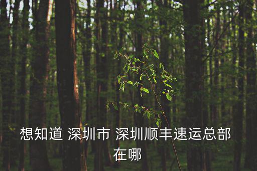 想知道 深圳市 深圳順豐速運總部 在哪
