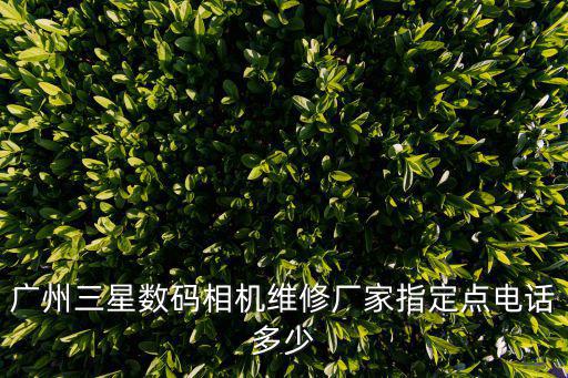 廣州三星數(shù)碼相機(jī)維修廠家指定點(diǎn)電話多少