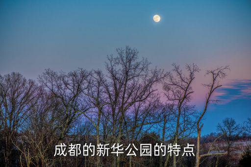 成都的新華公園的特點