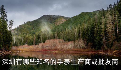 深圳有哪些知名的手表生產商或批發商