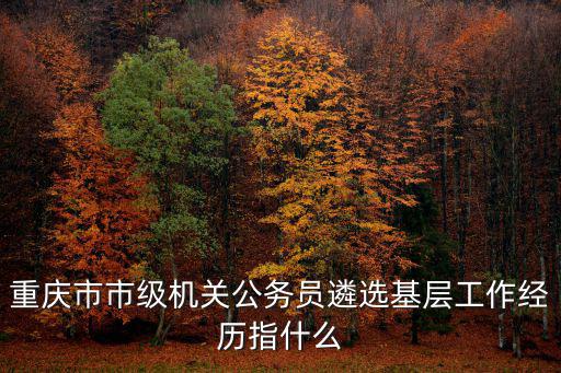 重慶市市級機關公務員遴選基層工作經歷指什么