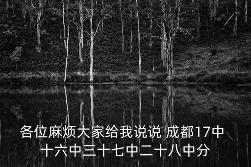 各位麻煩大家給我說說 成都17中 十六中三十七中二十八中分