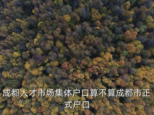 成都人才市場(chǎng)集體戶口算不算成都市正式戶口