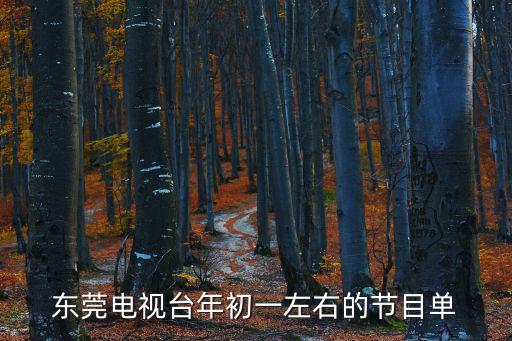 東莞方亮十佳，東莞一臺(tái)精彩900十一月二號(hào)播什么