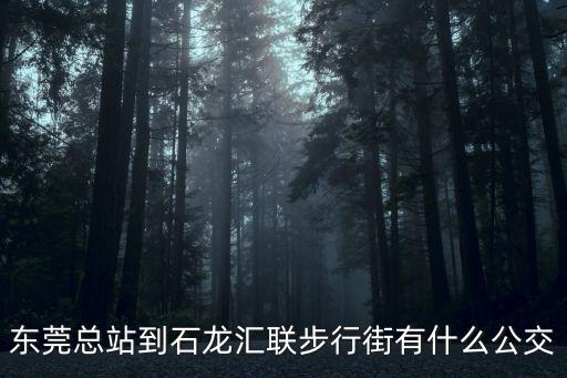 東莞總站到石龍匯聯步行街有什么公交
