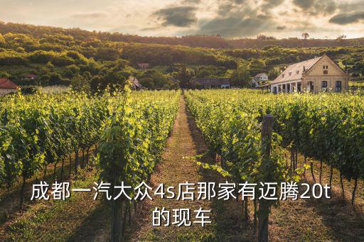 成都一汽大眾4s店那家有邁騰20t的現車