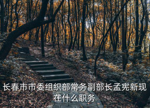 長(zhǎng)春市市委組織部常務(wù)副部長(zhǎng)孟憲新現(xiàn)在什么職務(wù)