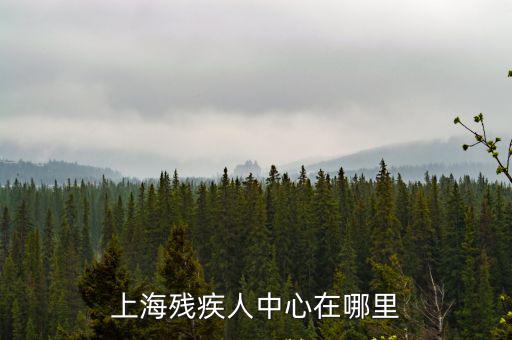 上海殘疾人中心在哪里