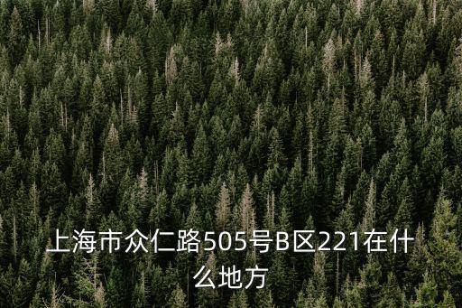 上海市眾仁路505號B區221在什么地方