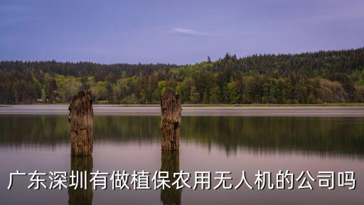 深圳無人機科技，廣東深圳有做植保農用無人機的公司嗎