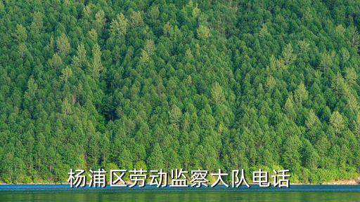 楊浦區勞動監察大隊電話
