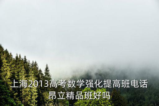 2013年上海市高考數學，上海2013高考數學強化提高班電話昂立精品班好嗎