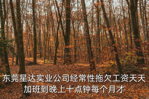 東莞星達(dá)實(shí)業(yè)公司經(jīng)常性拖欠工資天天加班到晚上十點(diǎn)鐘每個(gè)月才