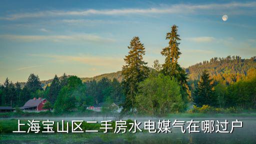 上海寶山區(qū)二手房水電媒氣在哪過戶