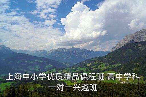 上海中小學優質精品課程班 高中學科一對一興趣班