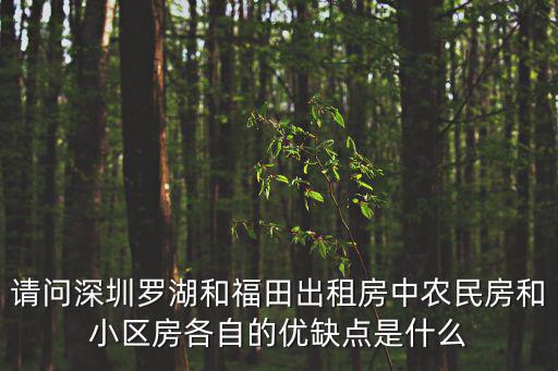 請問深圳羅湖和福田出租房中農民房和小區房各自的優缺點是什么