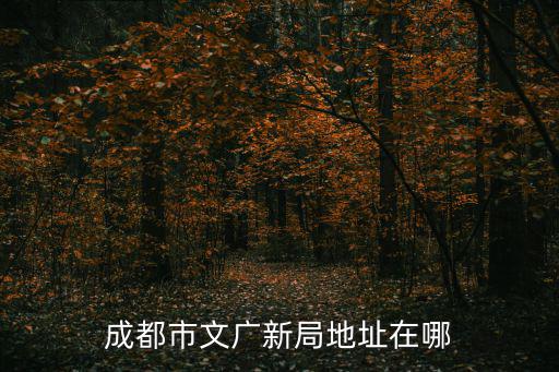 成都市文廣新局地址在哪
