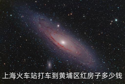 上海市黃埔區紅房子，請問上海黃浦區紅房子門診是大林路嗎是陸家浜那個嗎