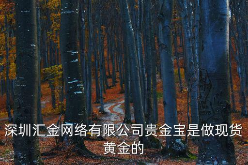 深圳惠程為什么匯金進(jìn)駐，深圳惠程大股東為何減持股票