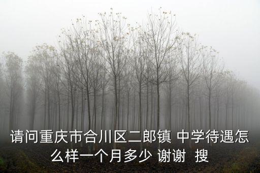 請問重慶市合川區二郎鎮 中學待遇怎么樣一個月多少 謝謝  搜