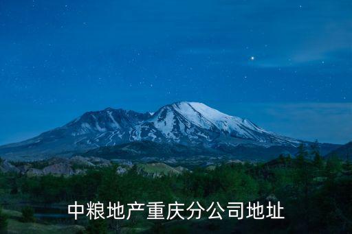 中糧地產(chǎn)重慶分公司地址