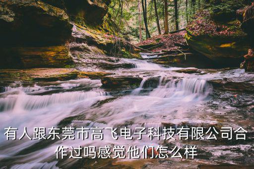 有人跟東莞市高飛電子科技有限公司合作過嗎感覺他們怎么樣