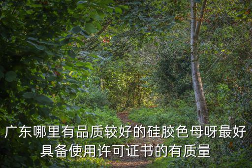 廣東哪里有品質(zhì)較好的硅膠色母呀最好具備使用許可證書的有質(zhì)量