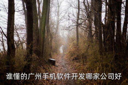 廣州諾特軟件 怎么樣，誰懂的廣州手機軟件開發哪家公司好