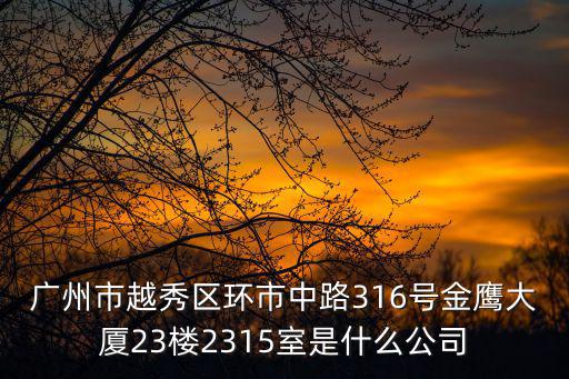 廣州市越秀區環市中路316號金鷹大廈23樓2315室是什么公司
