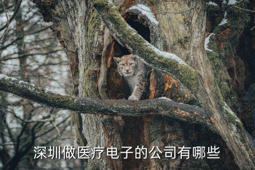 深圳做醫療電子的公司有哪些