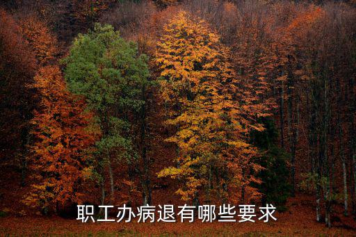 職工辦病退有哪些要求