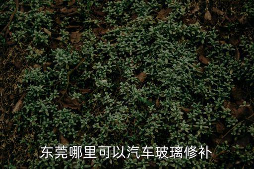 東莞哪里可以汽車玻璃修補