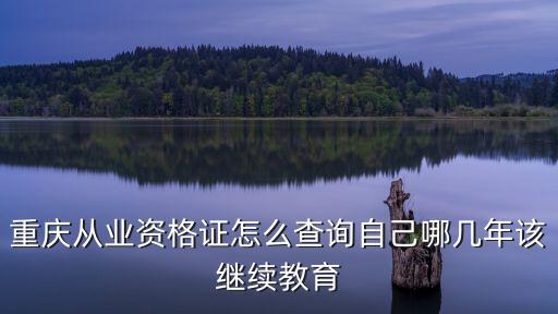 重慶從業(yè)資格證怎么查詢(xún)自己哪幾年該繼續(xù)教育