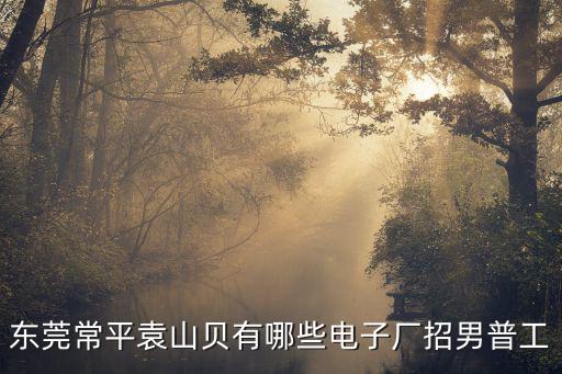 東莞常平袁山貝有哪些電子廠招男普工