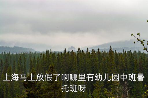 上海市公辦幼兒園暑托班，上海馬上放假了啊哪里有幼兒園中班暑托班呀