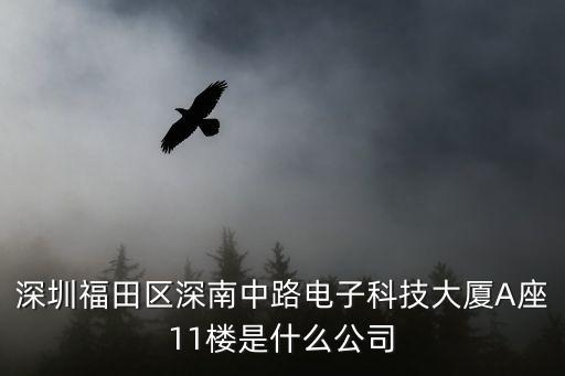 深圳福田區(qū)深南中路電子科技大廈A座11樓是什么公司