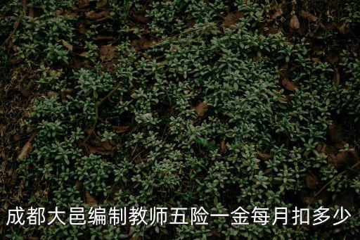 成都大邑編制教師五險一金每月扣多少