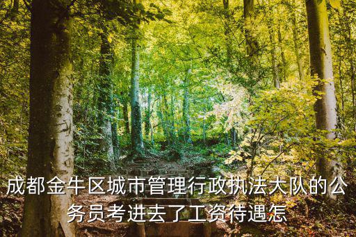 成都金牛區(qū)城市管理行政執(zhí)法大隊(duì)的公務(wù)員考進(jìn)去了工資待遇怎
