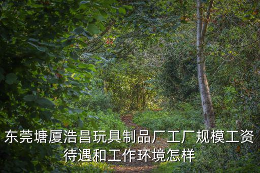 東莞塘廈浩昌玩具制品廠工廠規(guī)模工資待遇和工作環(huán)境怎樣