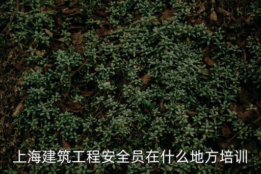 上海建筑工程安全員在什么地方培訓